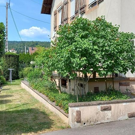 لو ثولي Studio D'Hotes A 10 Km De Gerardmer المظهر الخارجي الصورة