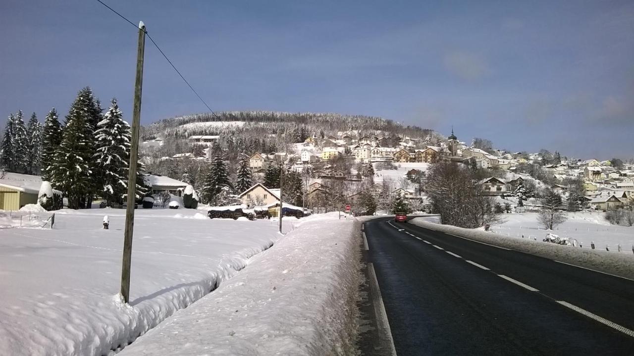 لو ثولي Studio D'Hotes A 10 Km De Gerardmer المظهر الخارجي الصورة